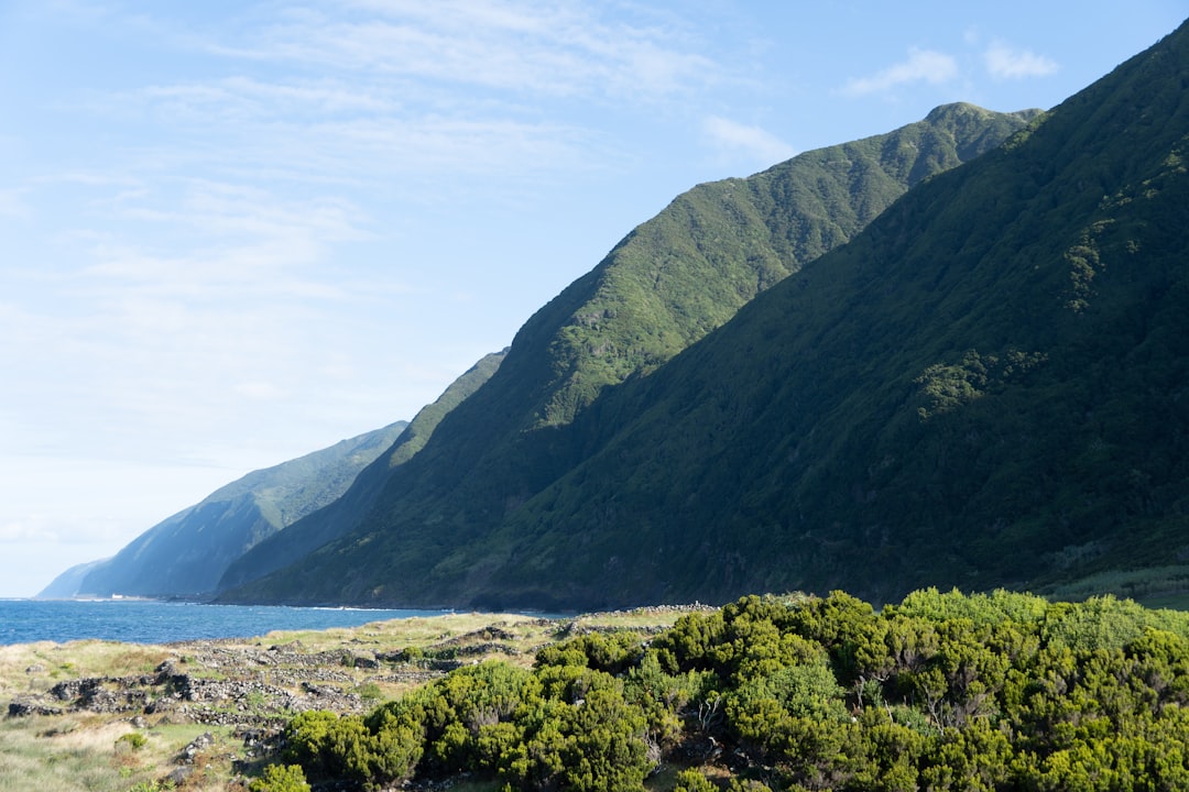 New Zealand Shifts Focus from Quantity to Quality Tourism (image credits: unsplash)