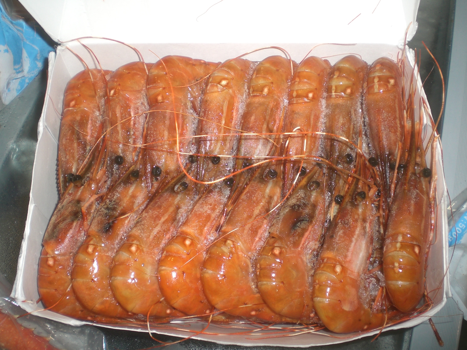 Seafood Frozen Meals Develop Fishy Off-Flavors (image credits: wikimedia)