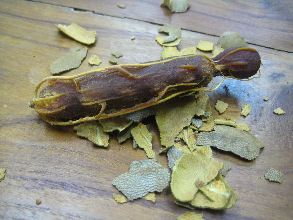 Tamarind: The Tropical Tartness That Elevates Everything (image credits: flickr)
