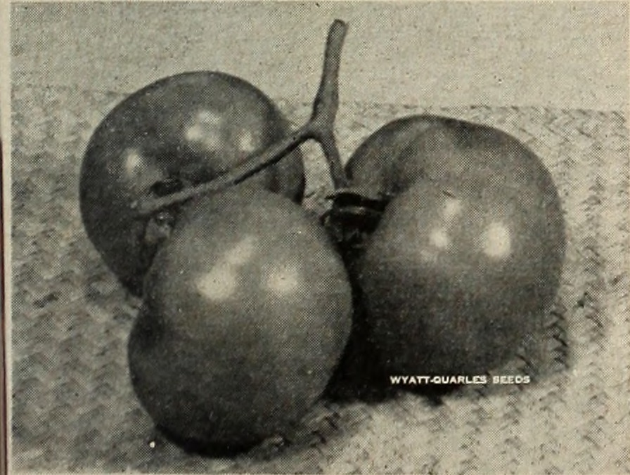 Setting the Perfect Temperature (image credits: wikimedia)