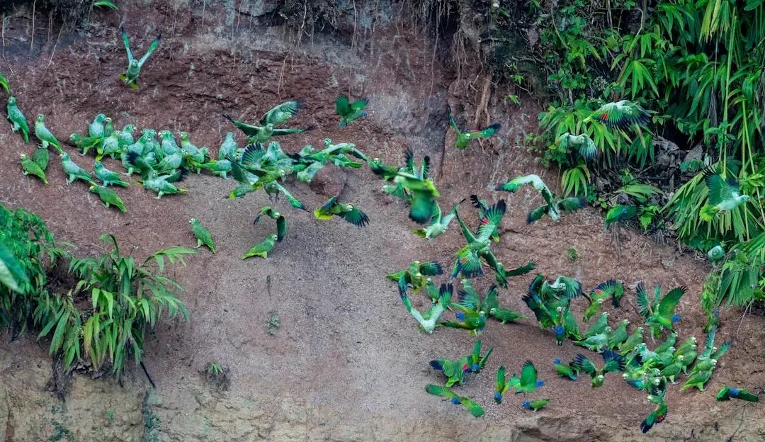 The Water Crisis Hidden Inside Every Avocado (Image Credits: Unsplash)