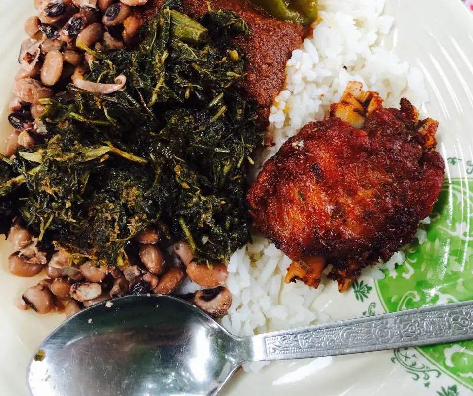 The Red Zone: India, Nigeria, and Parts of Sub-Saharan Africa (Image Credits: Wikimedia)