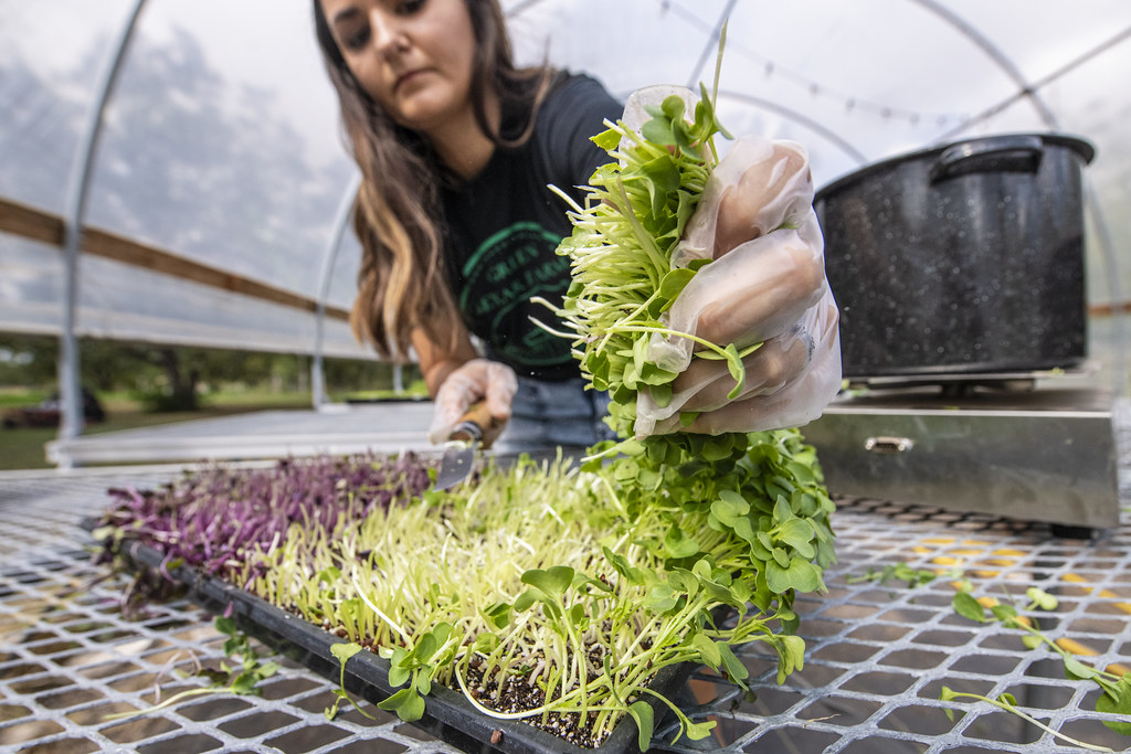 The Future Looks Tiny but Mighty (Image Credits: Flickr)