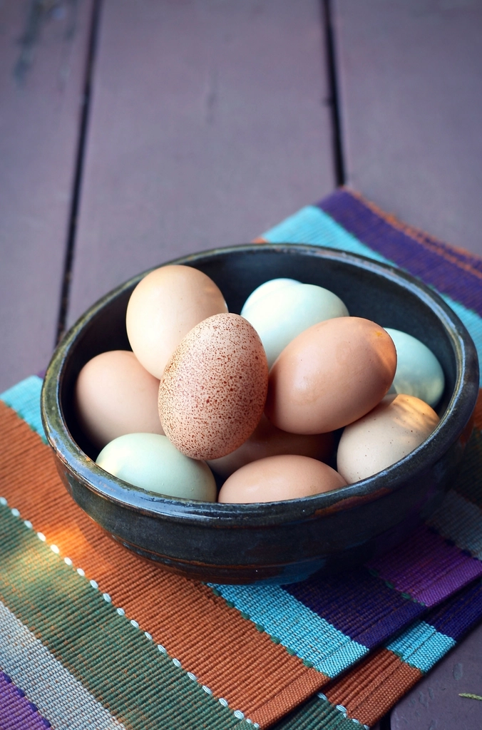 You Need Extra Protein to Be Healthy (image credits: rawpixel)
