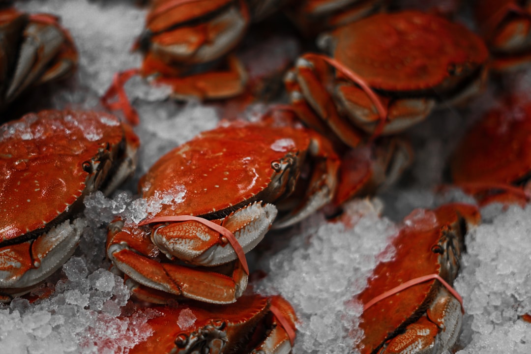 Seafood: Shrinking Catches and Higher Prices (image credits: unsplash)