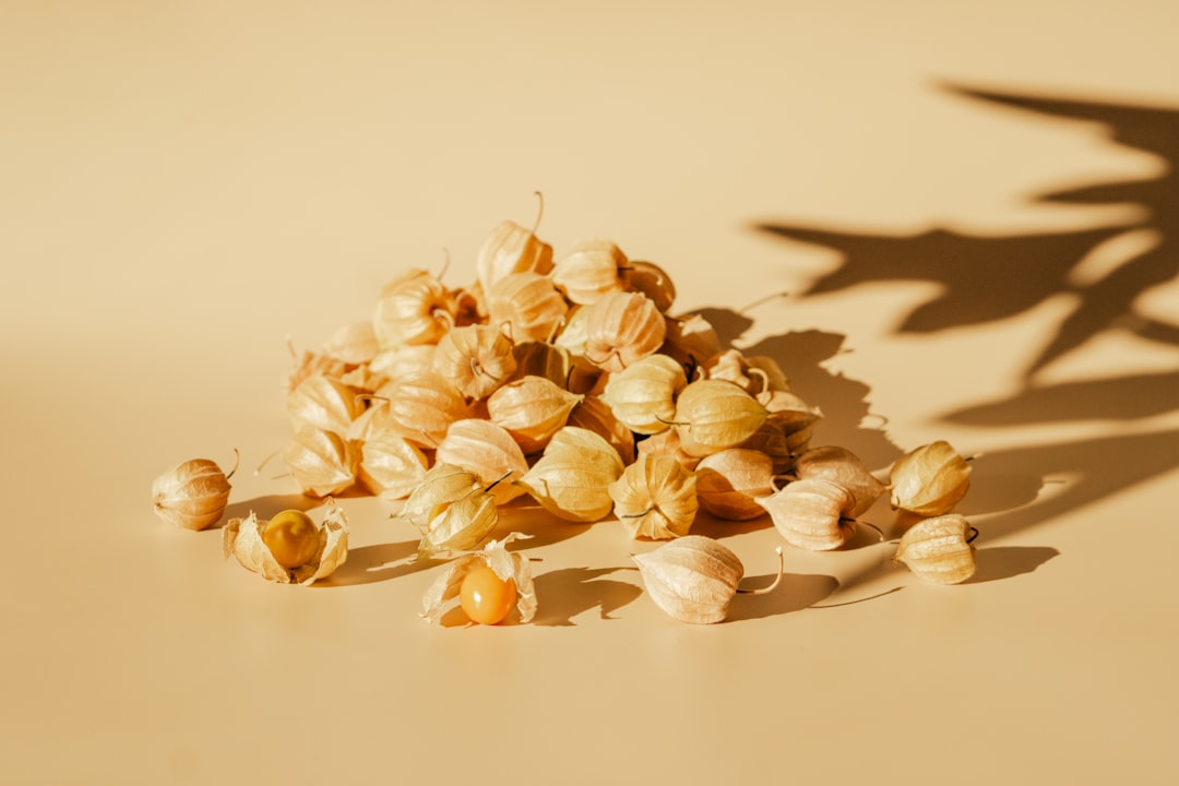 Nuts and Seeds: Tiny Packages of Hair Magic (image credits: unsplash)
