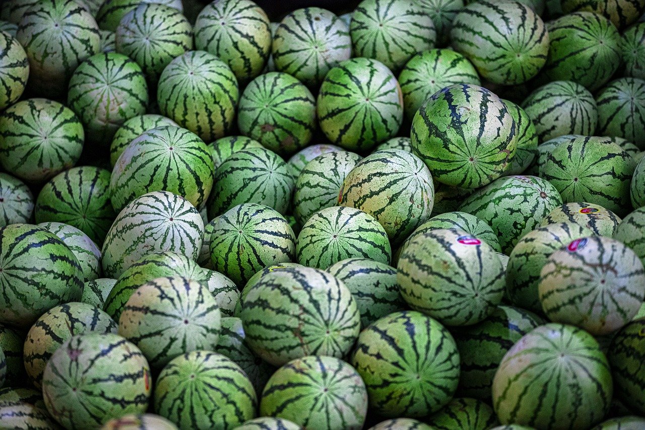 Watermelon: Hydration and Radiance (image credits: pixabay)