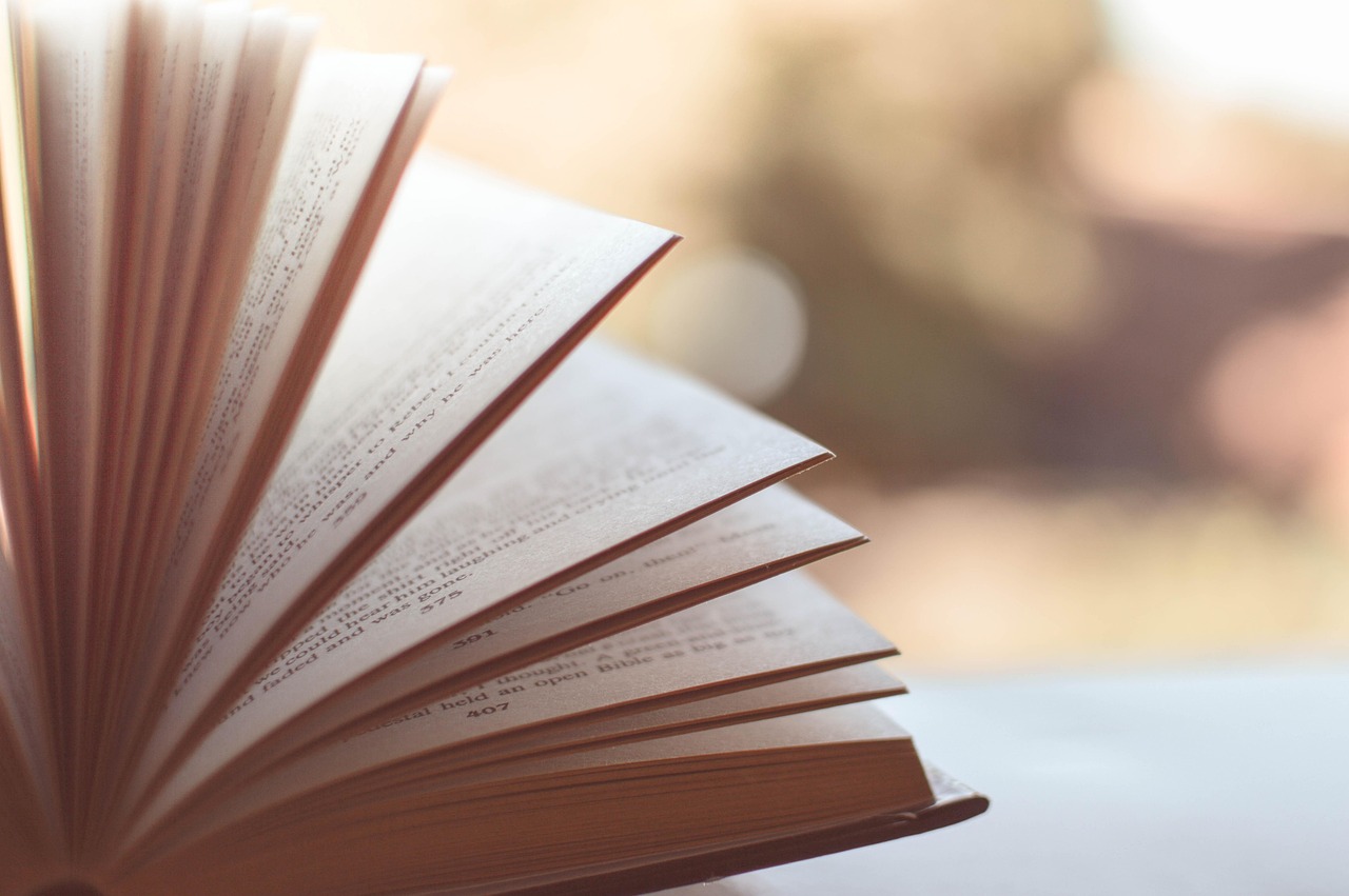 Personalization Drives Reader Engagement (image credits: pixabay)