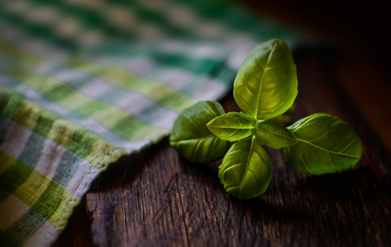 Using Fresh vs. Dried Herbs (image credits: pixabay)