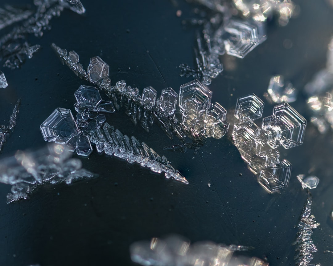 Cross-Contamination Is Happening In Your Freezer (image credits: unsplash)