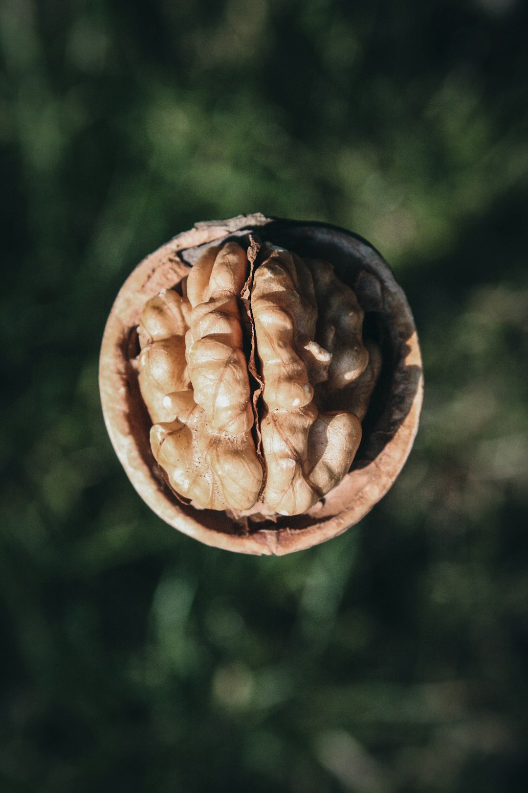 2. Walnuts: Brain-Shaped Brain Food (image credits: unsplash)