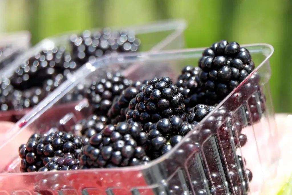 3. Organic Foods (Image Credits: Flickr)