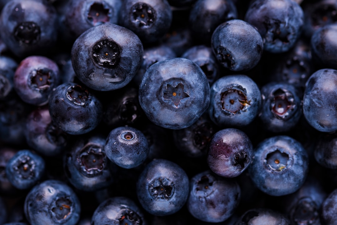 Blueberries: The