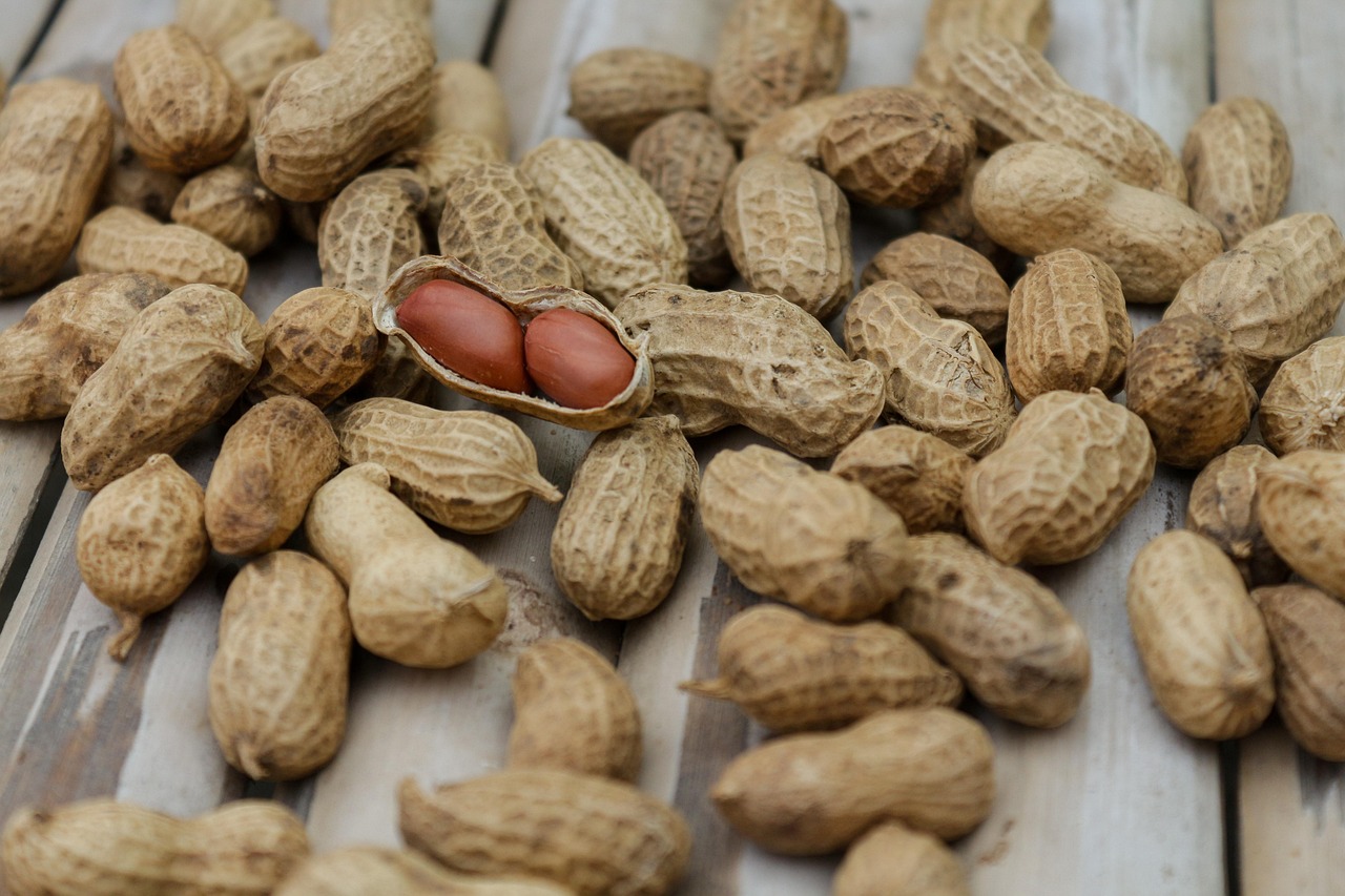1. Understanding Protein Needs (image credits: pixabay)