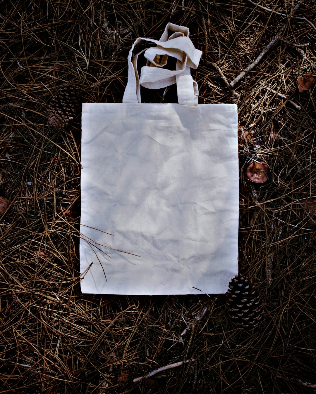 Food Storage Bags: Reusable Options (image credits: unsplash)