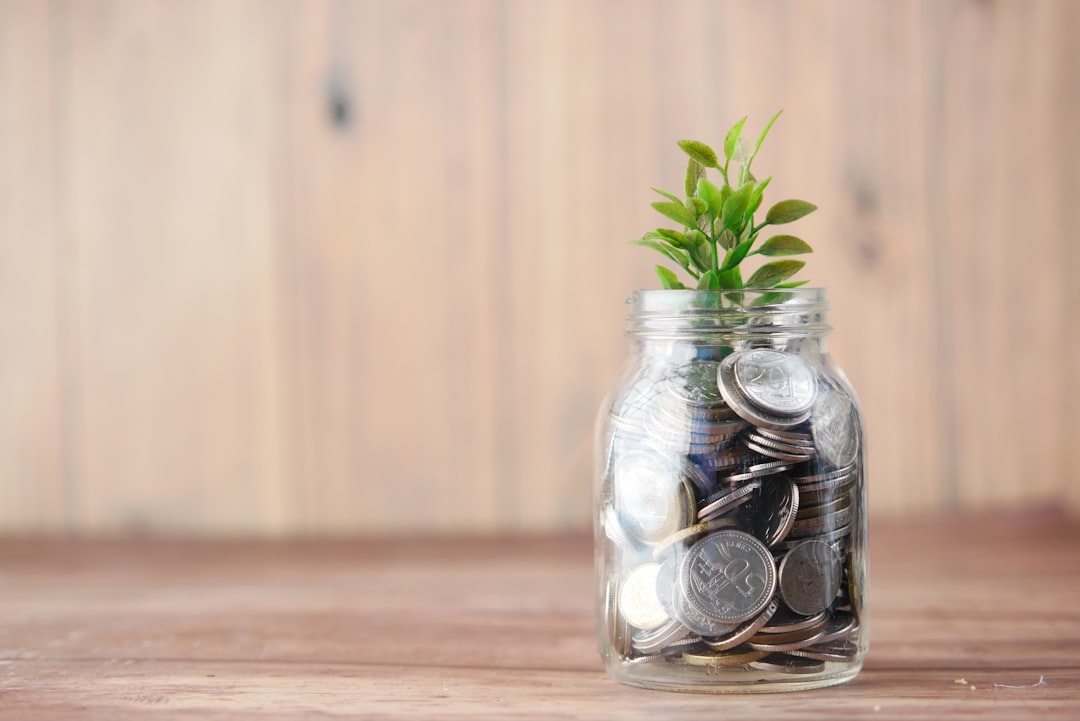 Sustainable Investing: A Powerful Shift (image credits: unsplash)