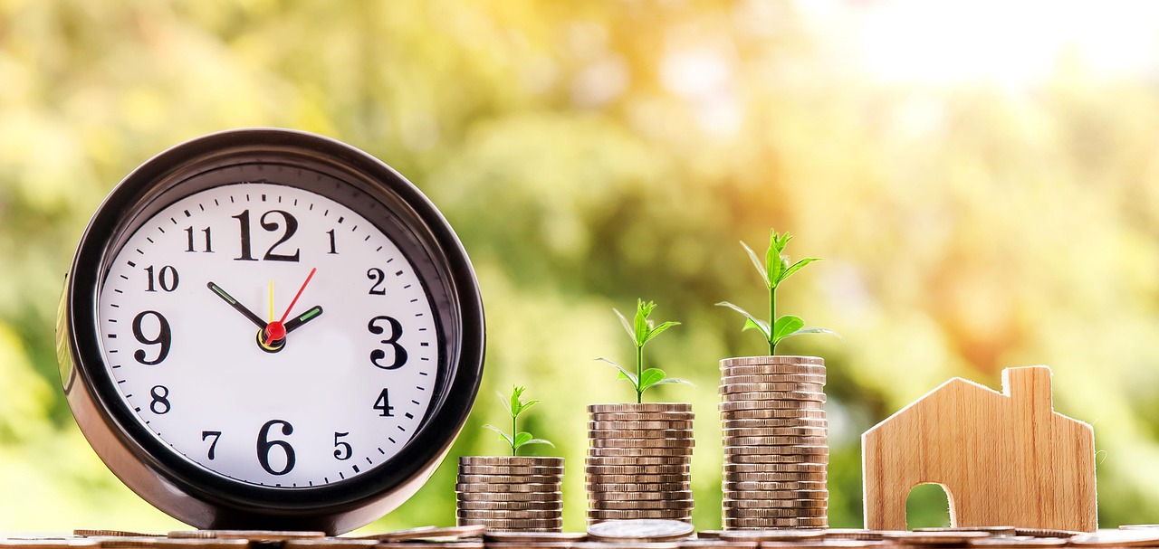 Creating a Military-Style Budget for Debt Destruction (image credits: pixabay)