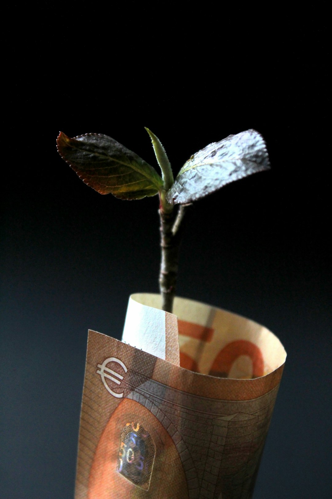 1. Overview of Economic Growth Projections (image credits: unsplash)