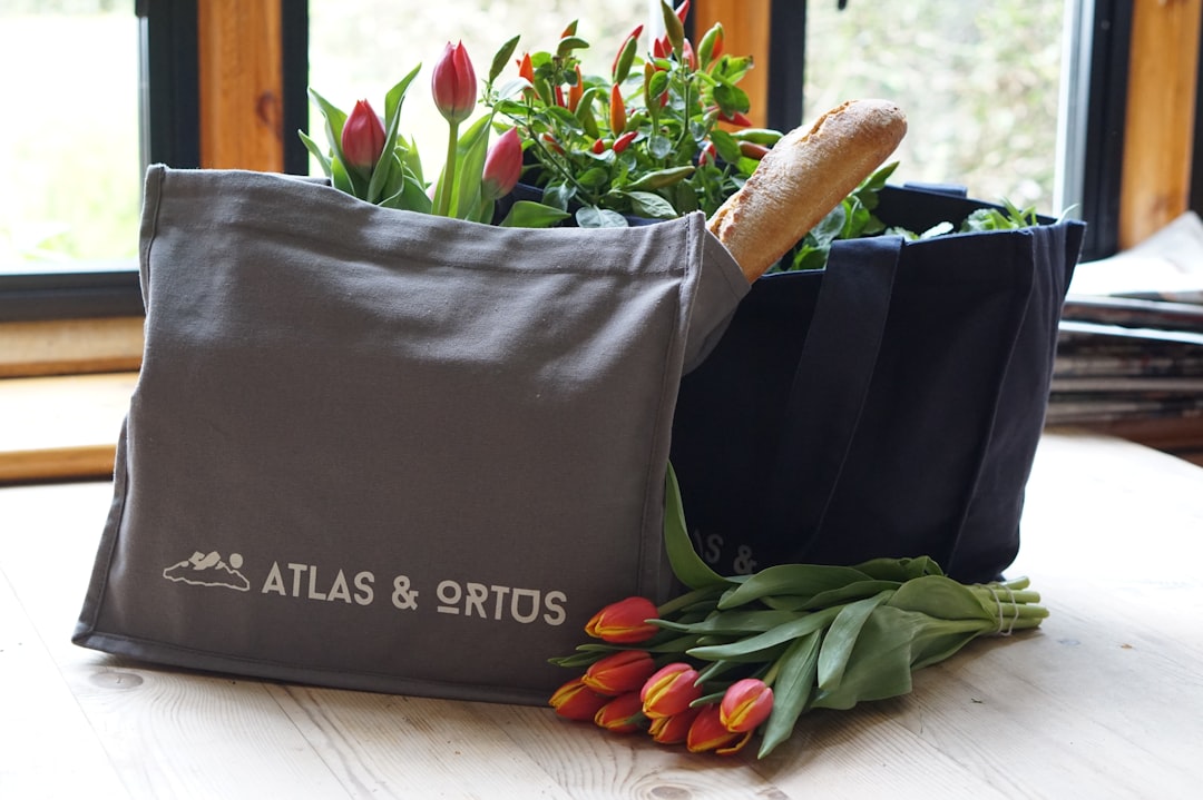 Sustainable and Ethical Spending (image credits: unsplash)