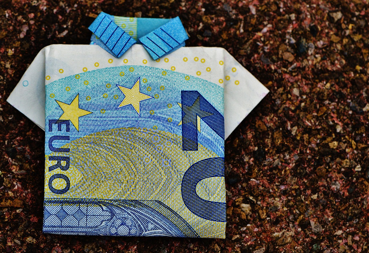 Case Study: The Euro and US Dollar (image credits: pixabay)