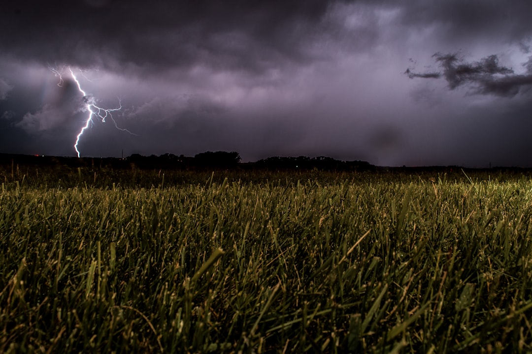 Agricultural Commodities: Weather as Your Trading Partner (image credits: unsplash)