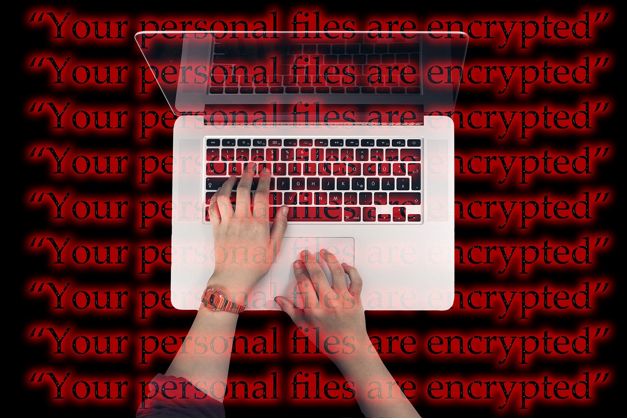 The Great Cyber Attack: When Digital Money Disappears (image credits: pixabay)