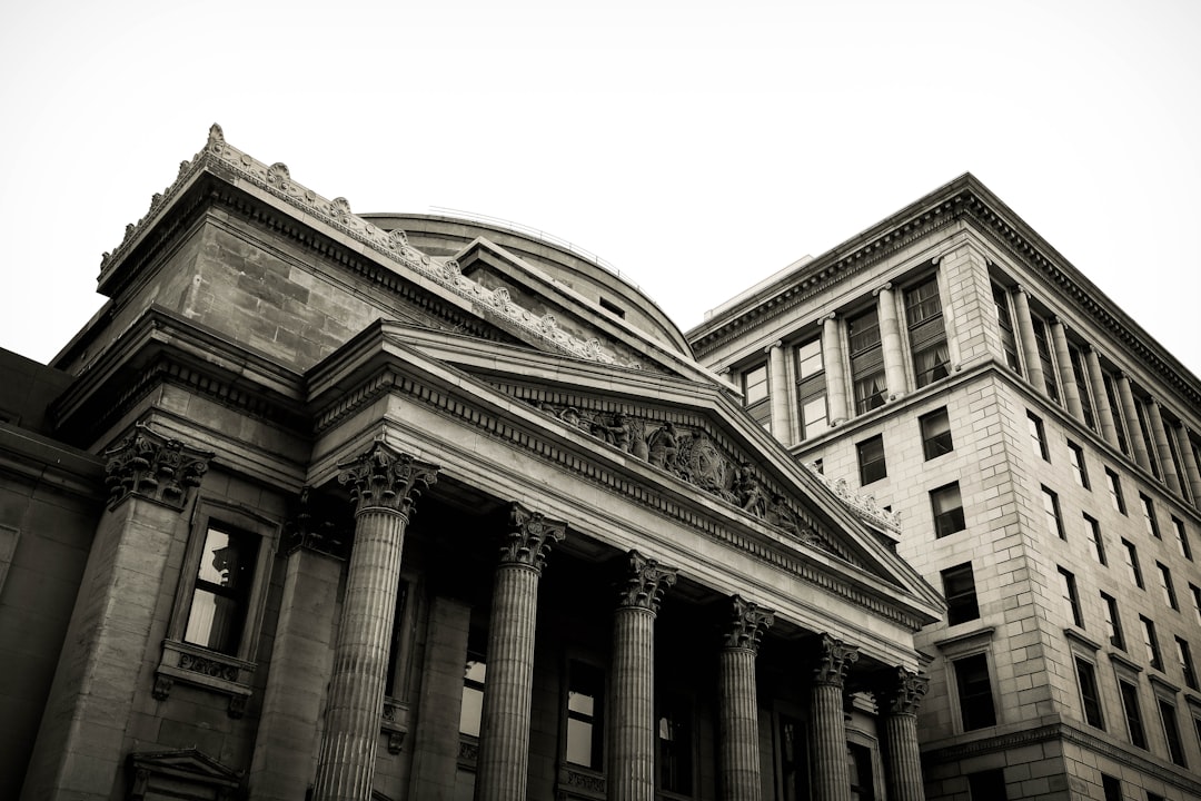 The Role of Government Policies (image credits: unsplash)