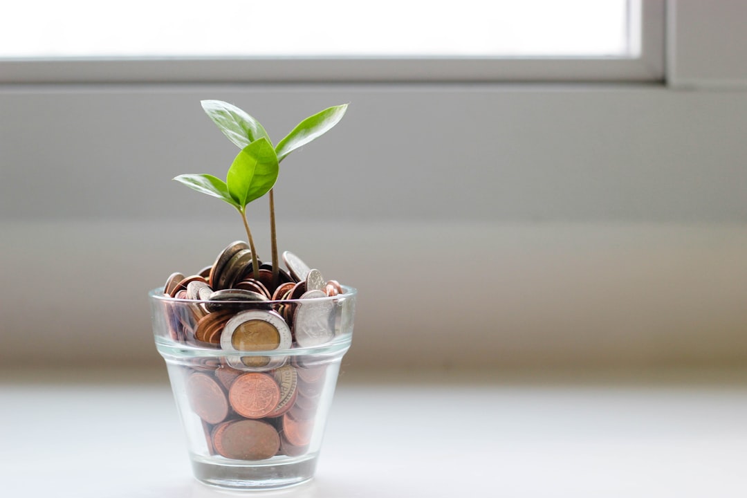 Neglecting a Financial Plan (image credits: unsplash)