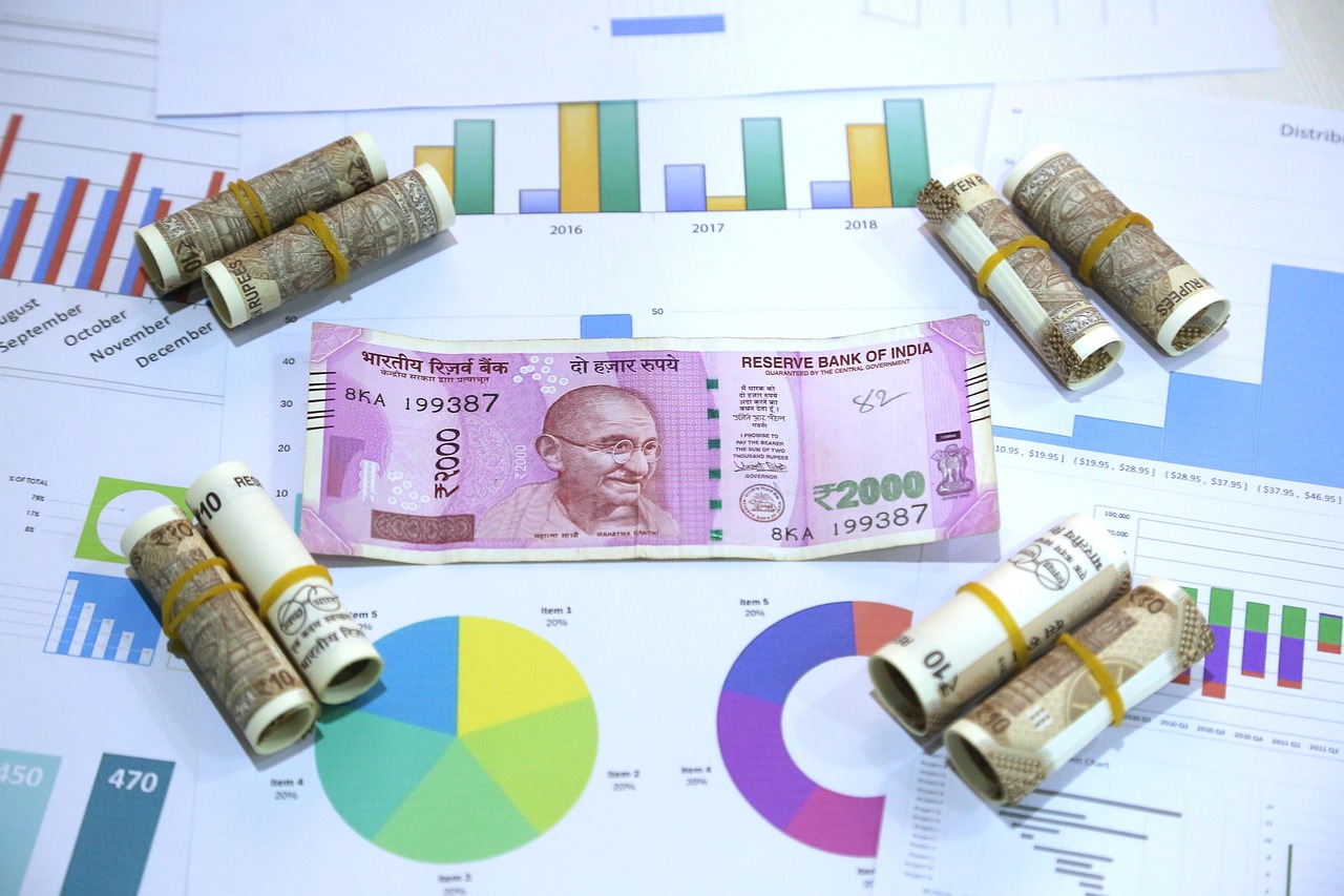 Cash Flow Reality Check (image credits: pixabay)