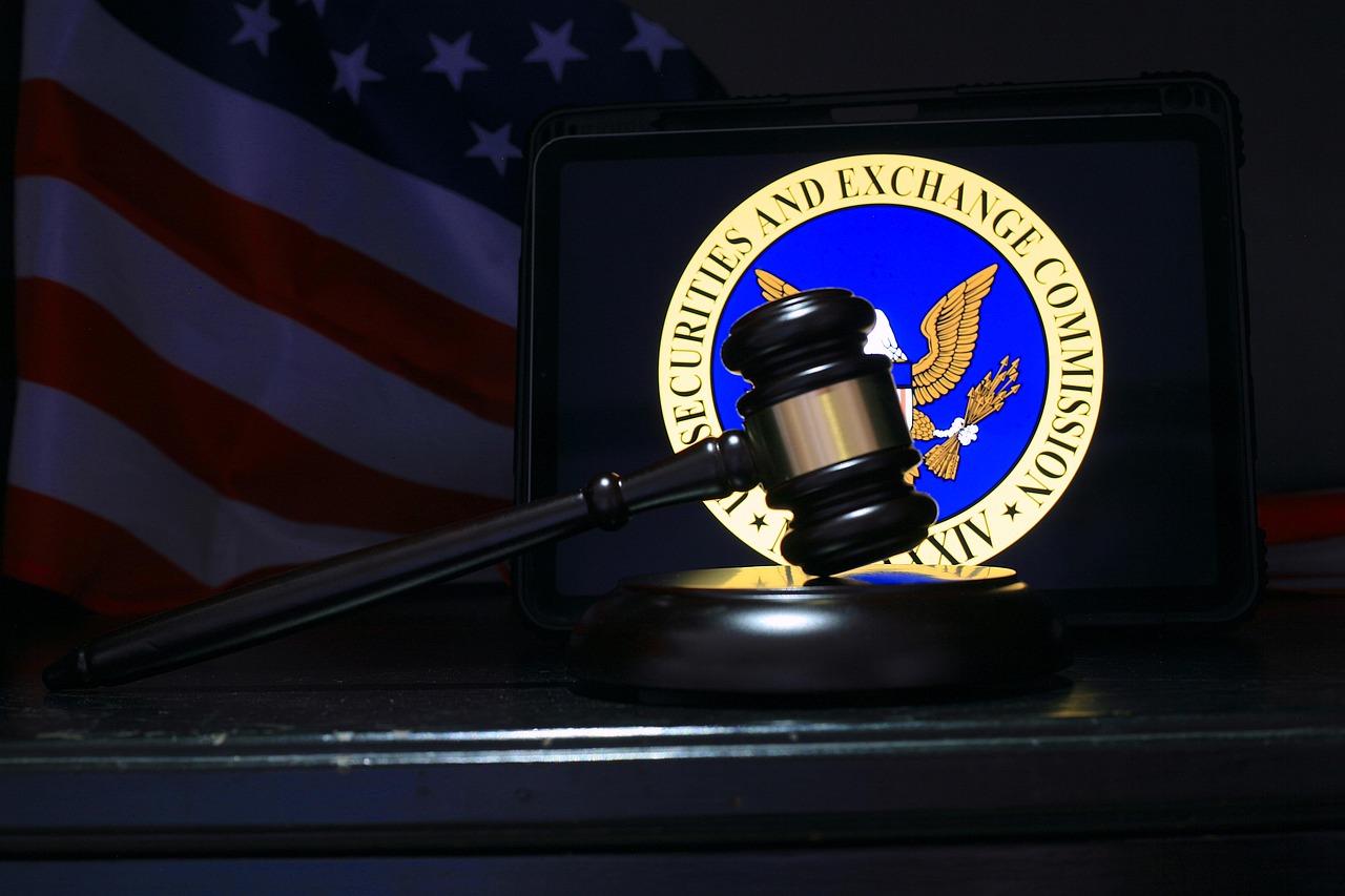 Regulatory Clarity Finally Emerges (image credits: pixabay)