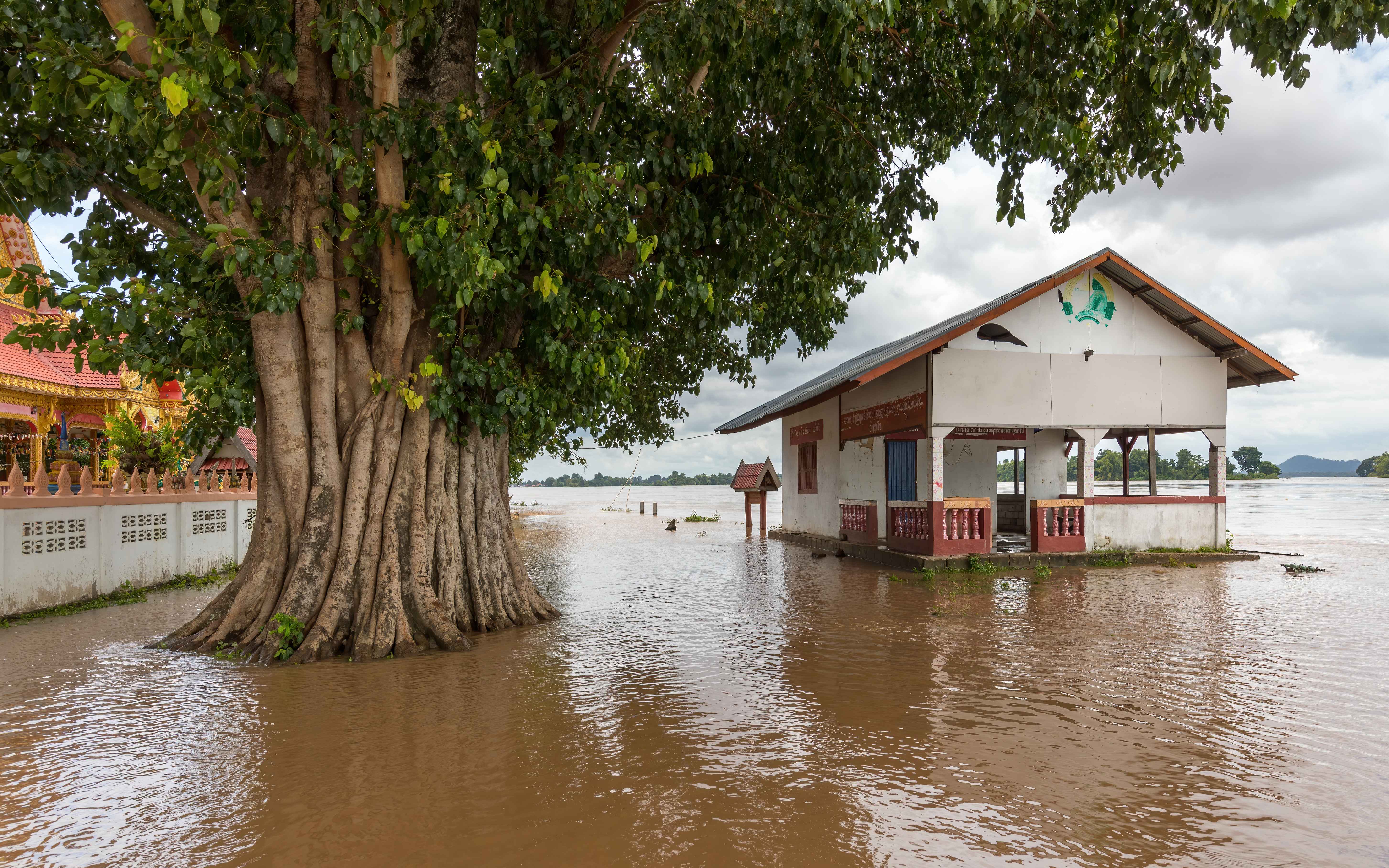The Safety Net: Insurance and Climate Risk (image credits: wikimedia)