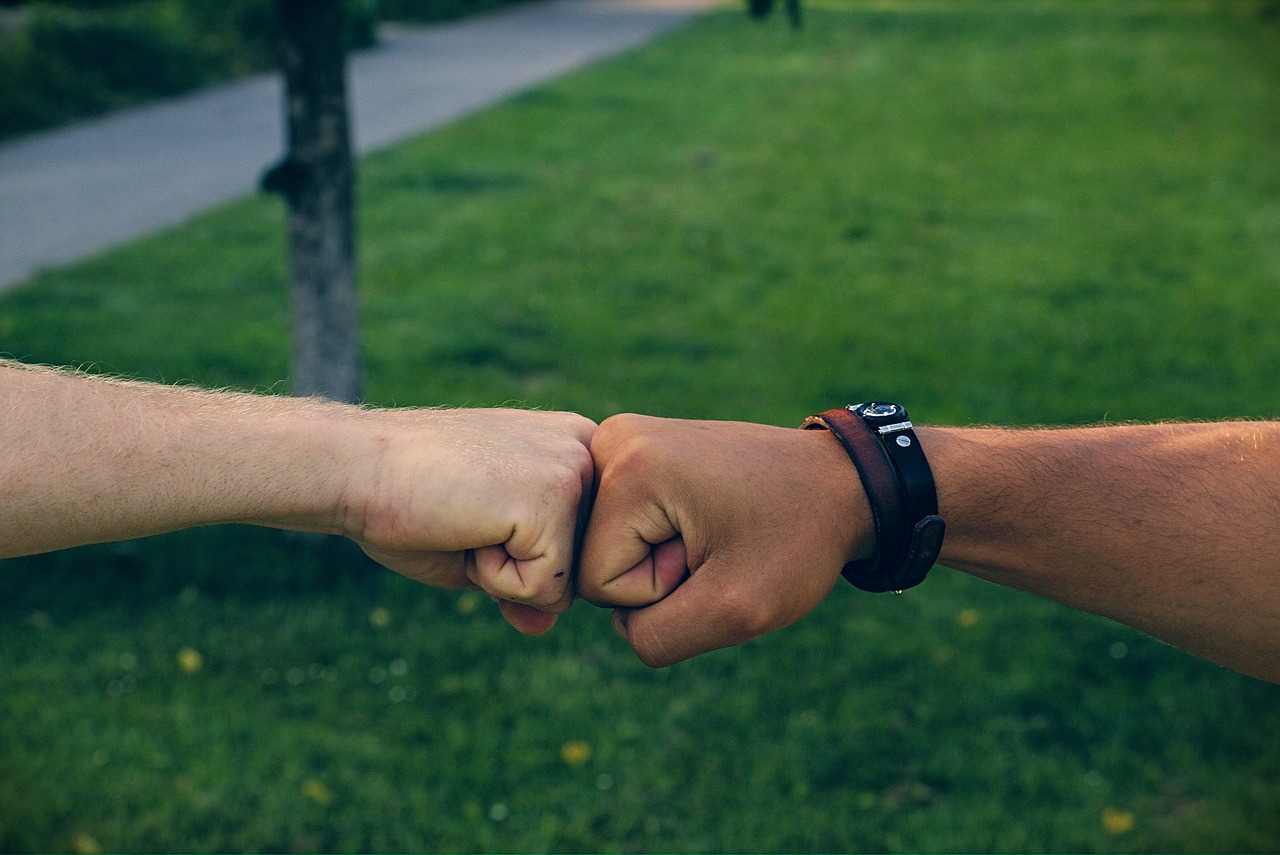 Geopolitics: Alliances and Rivalries (image credits: pixabay)