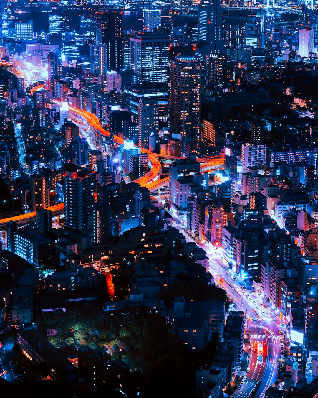 South Africa (image credits: unsplash)