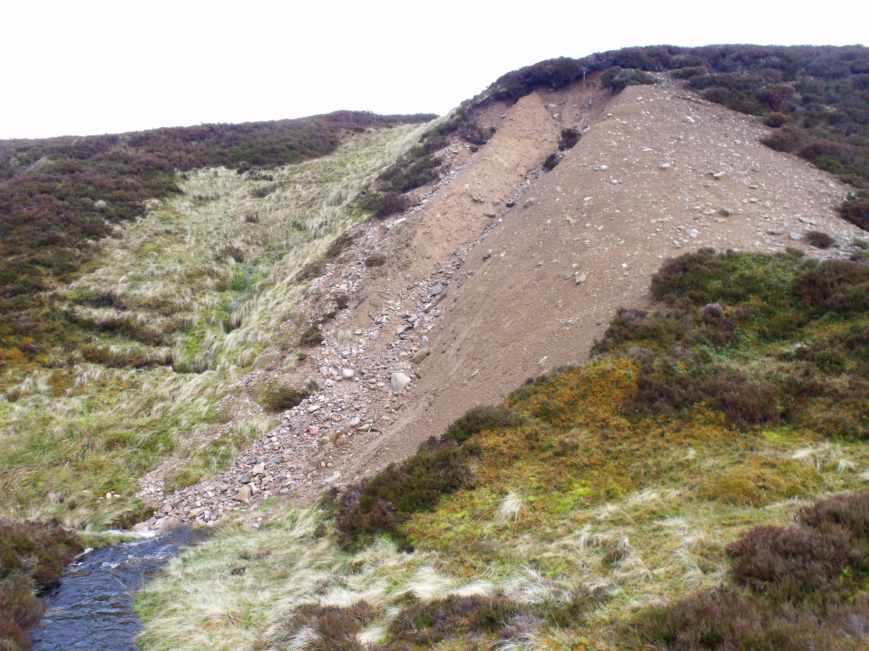 Hidden Beneath Miles of River Sediment (Image Credits: Wikimedia)