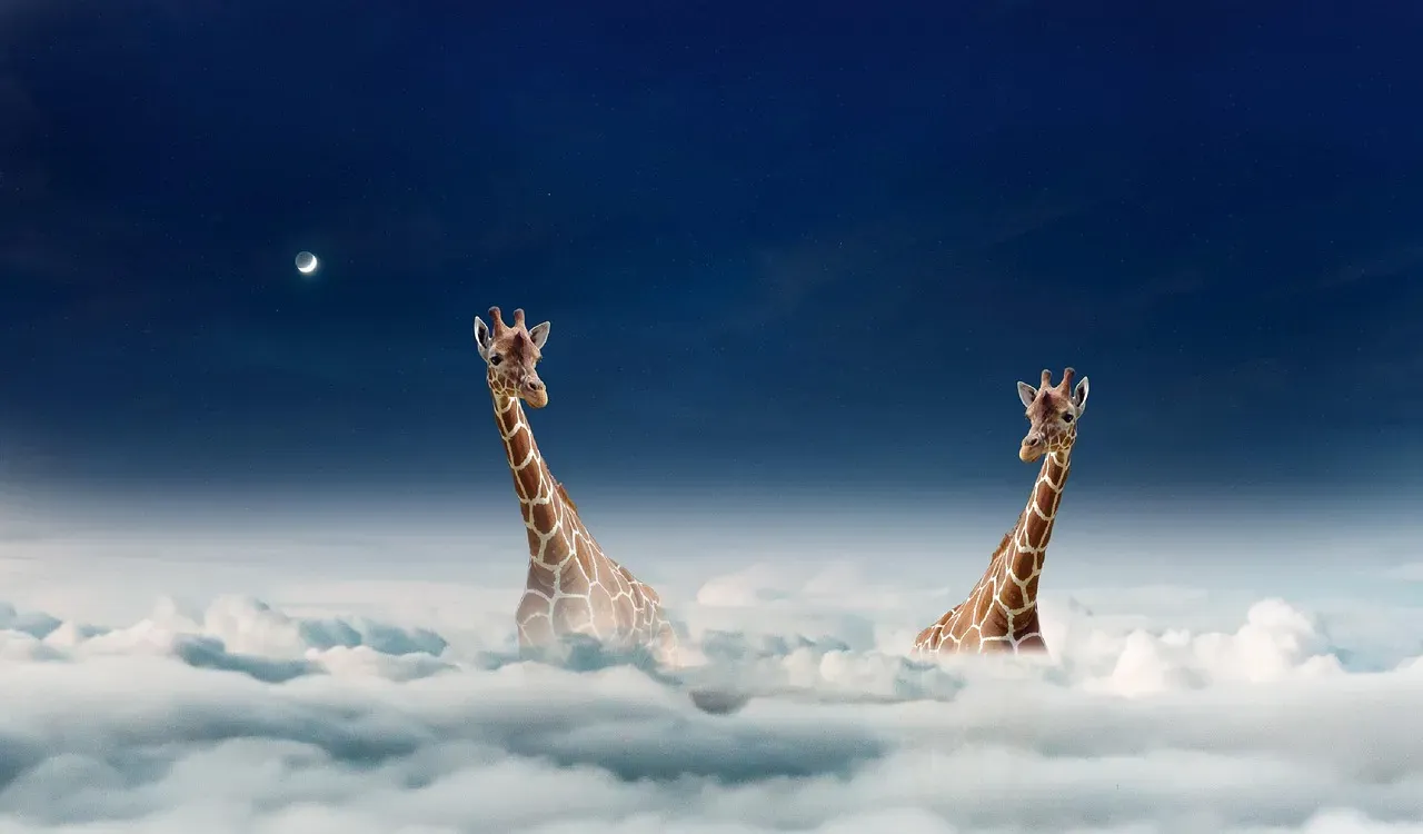Giraffes Hum at Night (Image Credits: Pixabay)