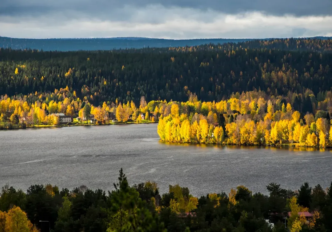 #5. River Birch (Betula nigra) (Image Credits: Unsplash)