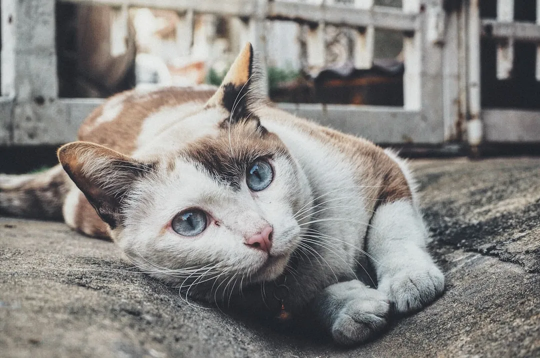 Tracking Owners Through Sound (Image Credits: Unsplash)