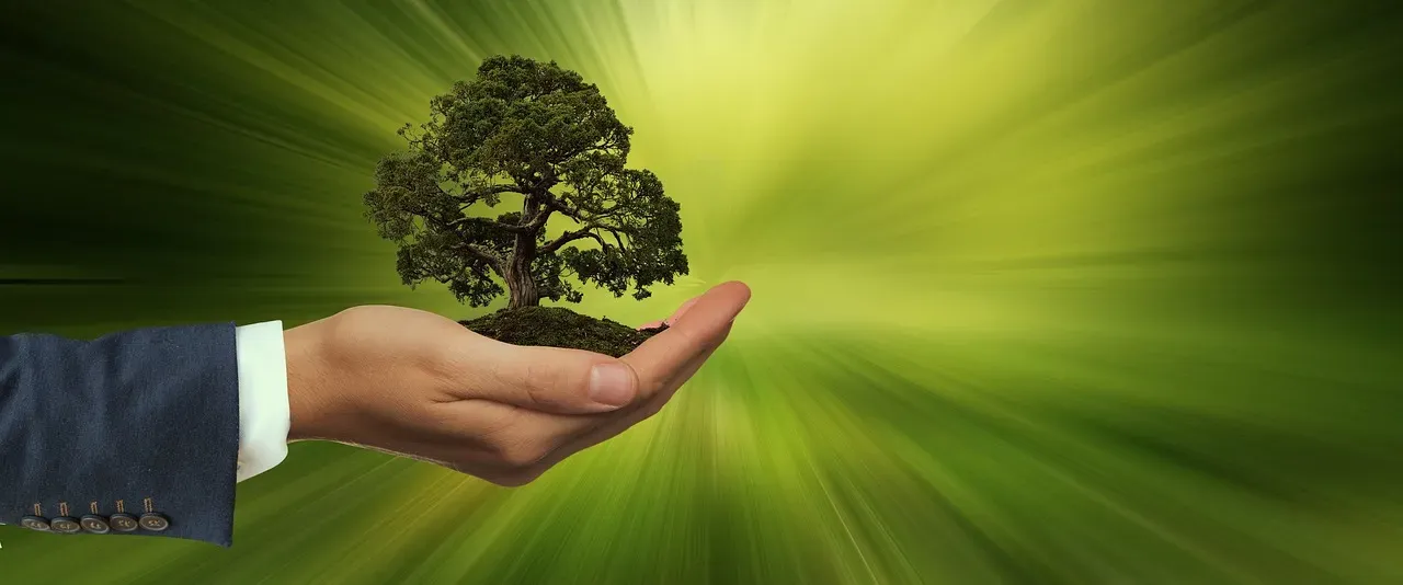 8. "In Our Every Deliberation, We Must Consider the Impact of Our Decisions on the Next Seven Generations." - Iroquois Confederacy (Image Credits: Pixabay)
