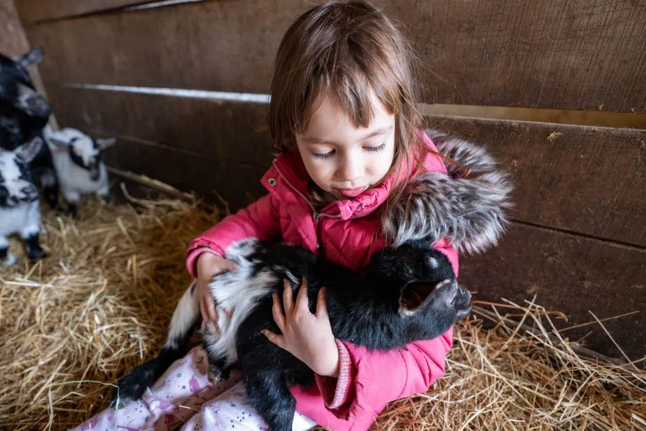 #16: Goats - The Barnyard Shadow Nobody Sees Coming (Image Credits: Pexels)