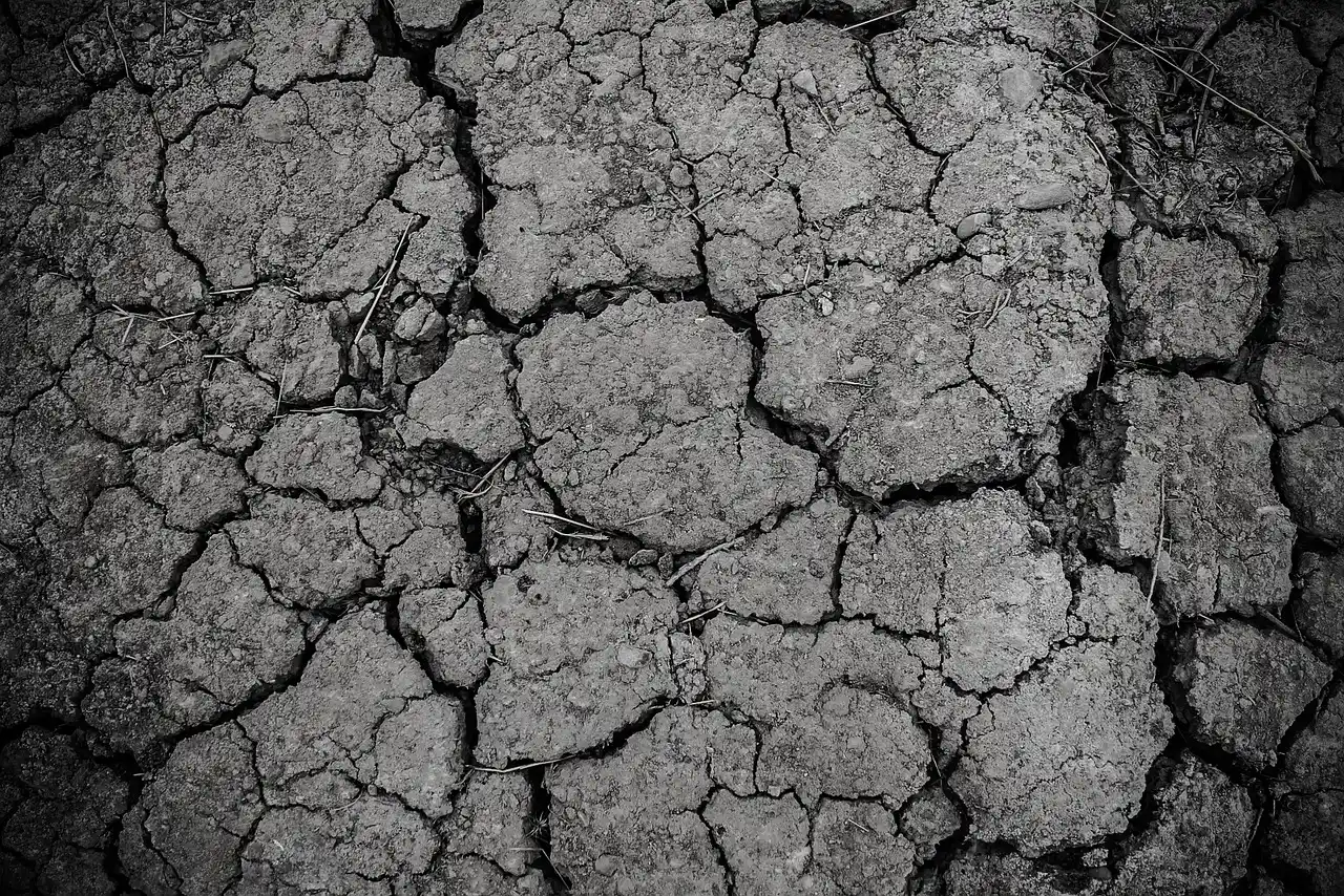 7. Overlooking Cracks, Gaps, And Loose Trim Around The Home (Image Credits: Pixabay)