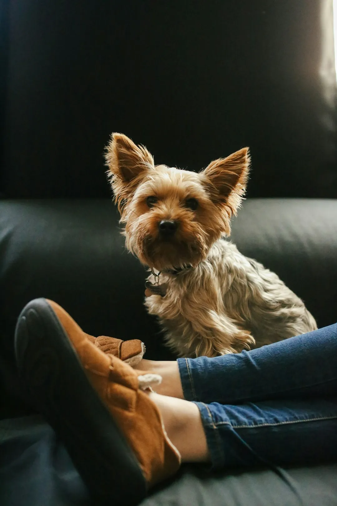 #13 - Sitting or Lying Directly on Your Feet (Image Credits: Unsplash)