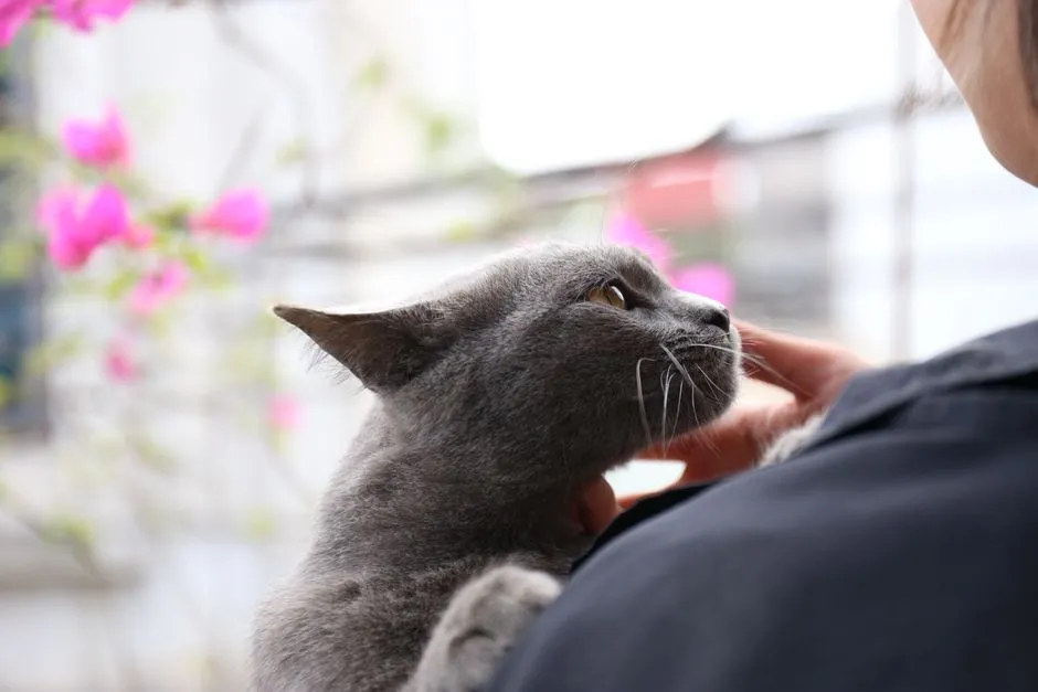 #8 - Gentle Touch on Their Terms, Not Yours (Image Credits: Pexels)