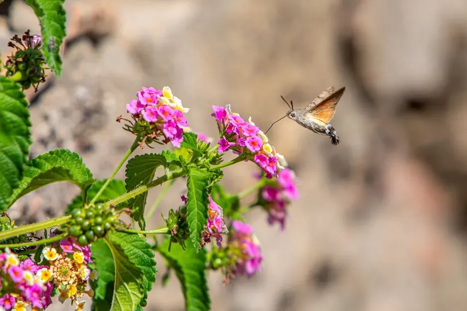 15 - Lantana (Image Credits: Pexels)