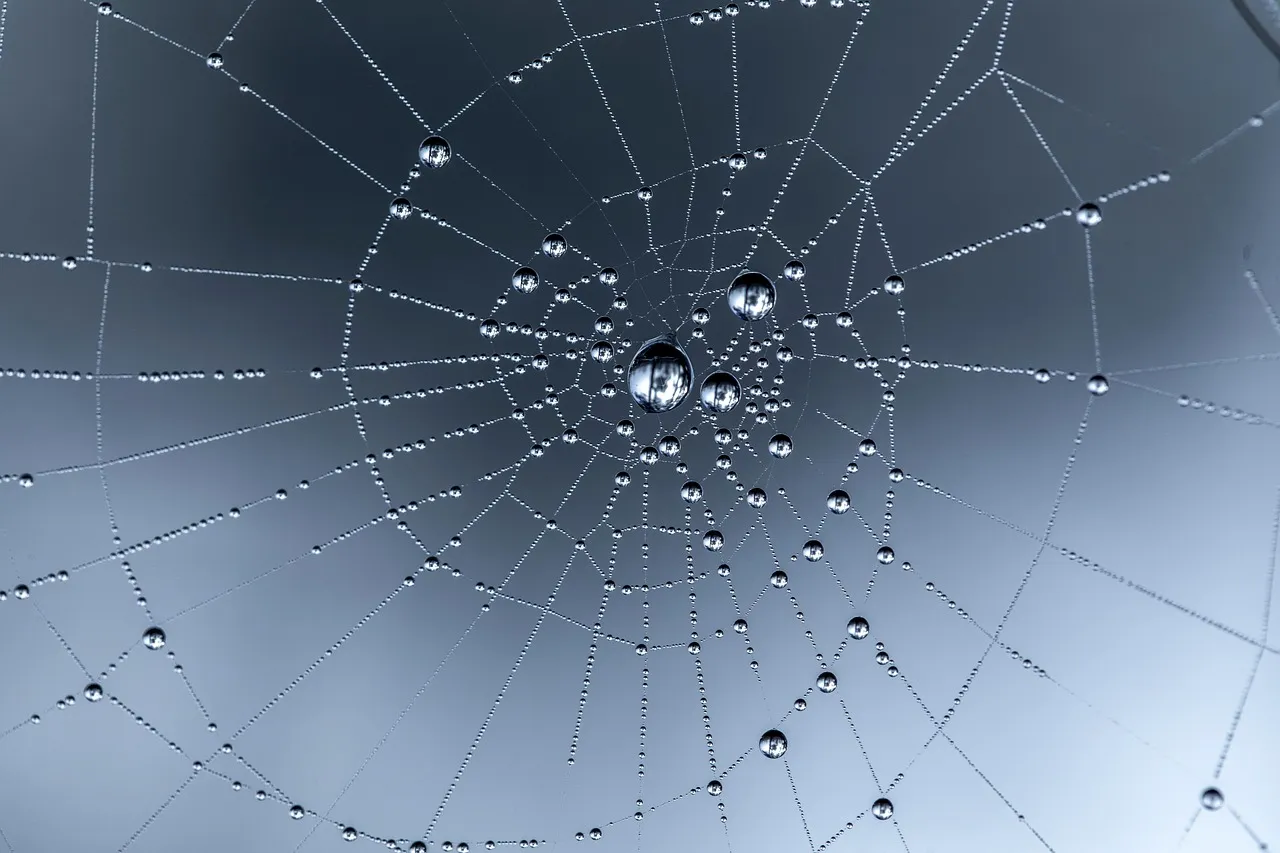 Australian Aboriginal Wisdom: The Web as the Web of Life (Image Credits: Pixabay)