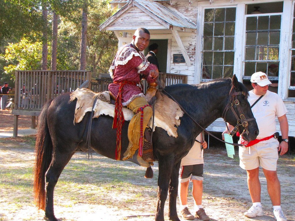 The Horse: Sacred Partnership and Healing Power (Image Credits: Flickr)