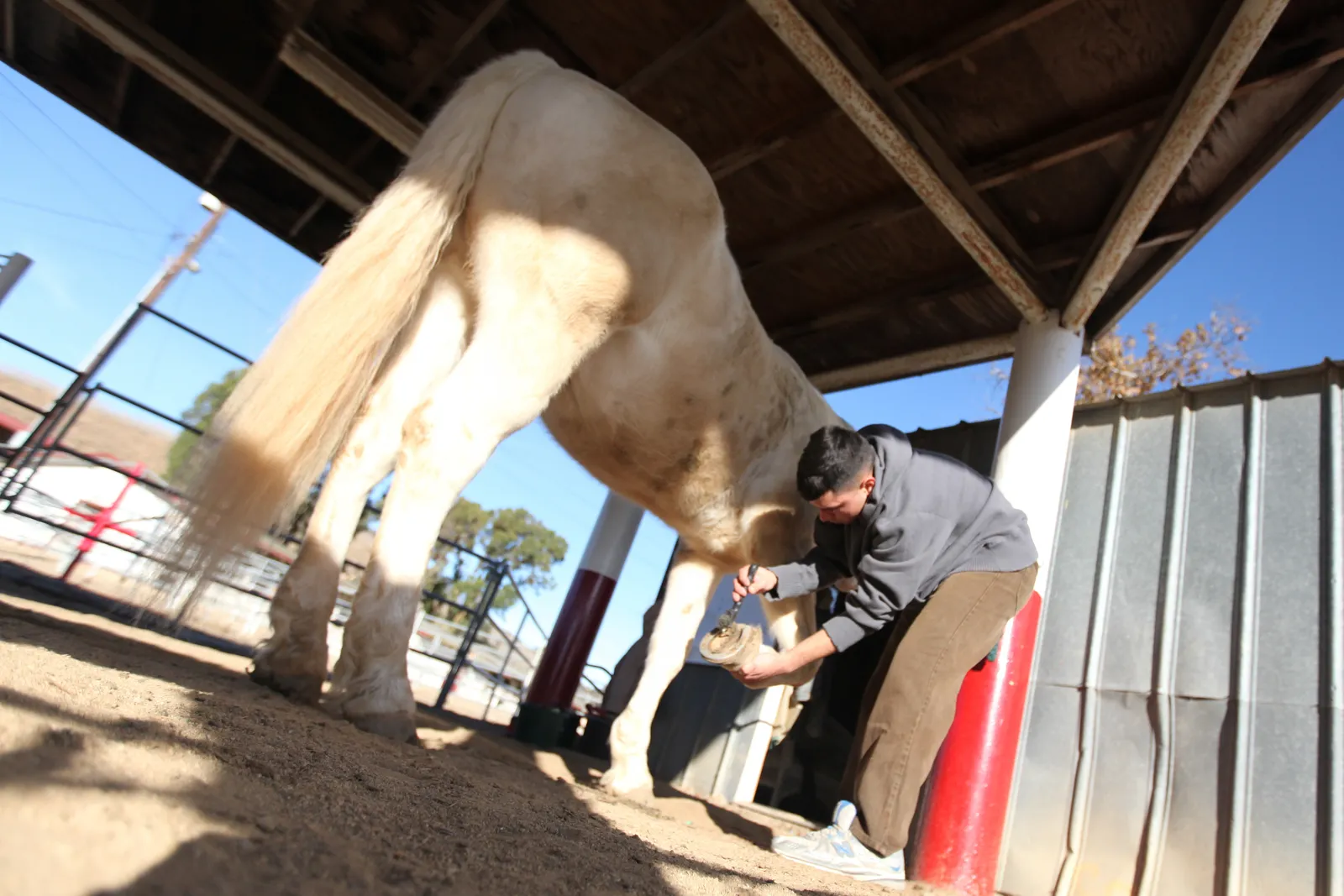 13. Hoof‑Pick Sensitivity And Tiny Flinches Around The Coronary Band (This image was released by the United States Marine Corps with the ID 100126-M-8355A-004 (next).
This tag does not indicate the copyright status of the attached work. A normal copyright tag is still required. See Commons:Licensing.


العربية&nbsp;∙ বাংলা&nbsp;∙ 
Bahasa Indonesia&nbsp;∙ 
Bahaso Jambi&nbsp;∙ 
Deutsch&nbsp;∙ Deutsch (Sie-Form)&nbsp;∙ English&nbsp;∙ espa&ntilde;ol&nbsp;∙ euskara&nbsp;∙ فارسی&nbsp;∙ fran&ccedil;ais&nbsp;∙ italiano&nbsp;∙ 日本語&nbsp;∙ 한국어&nbsp;∙ македонски&nbsp;∙ മലയാളം&nbsp;∙ Plattd&uuml;&uuml;tsch&nbsp;∙ Nederlands&nbsp;∙ polski&nbsp;∙ پښتو&nbsp;∙ portugu&ecirc;s&nbsp;∙ русский&nbsp;∙ sloven&scaron;čina&nbsp;∙ svenska&nbsp;∙ T&uuml;rk&ccedil;e&nbsp;∙ українська&nbsp;∙ 简体中文&nbsp;∙ 繁體中文&nbsp;∙ +/&minus;, Public domain)