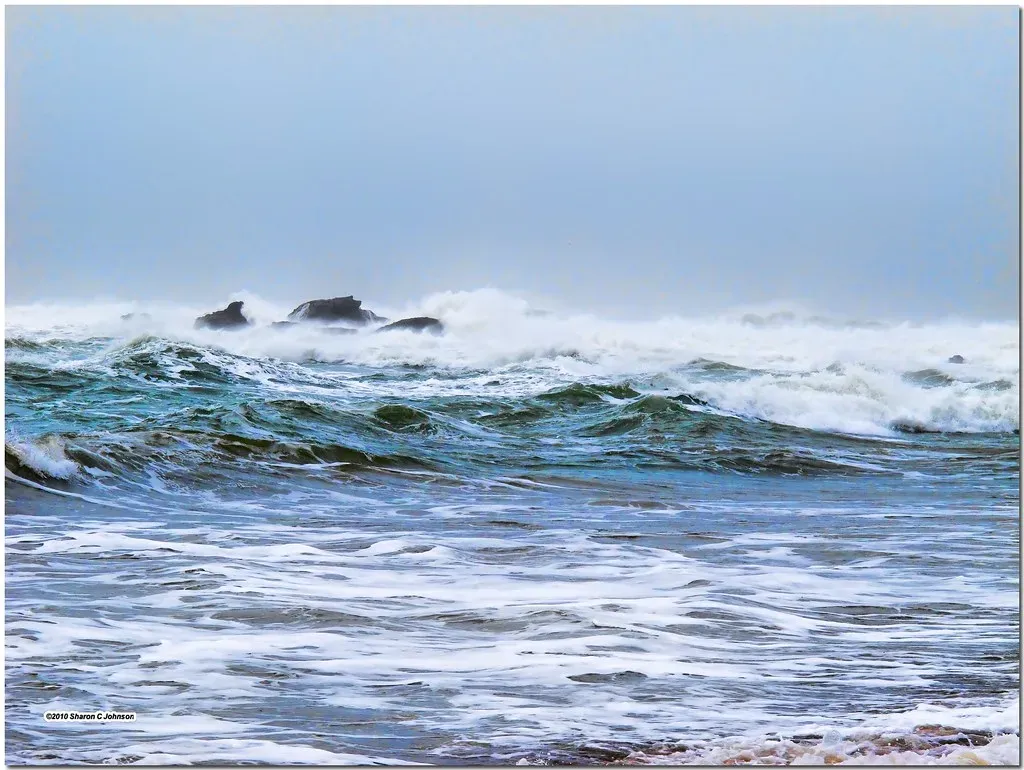 What Is El Niño and Why Does It Matter So Much? (Sharon C Johnson, Flickr, CC BY 2.0)
