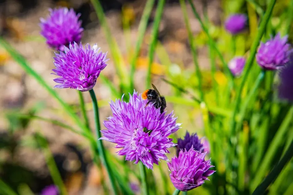 Chives: Early Color and Reliable Bee Traffic (Image Credits: Pexels)