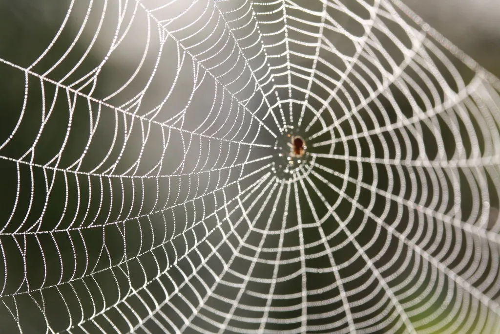 Asian Interpretations: A Sign Someone's Coming (Image Credits: Flickr)