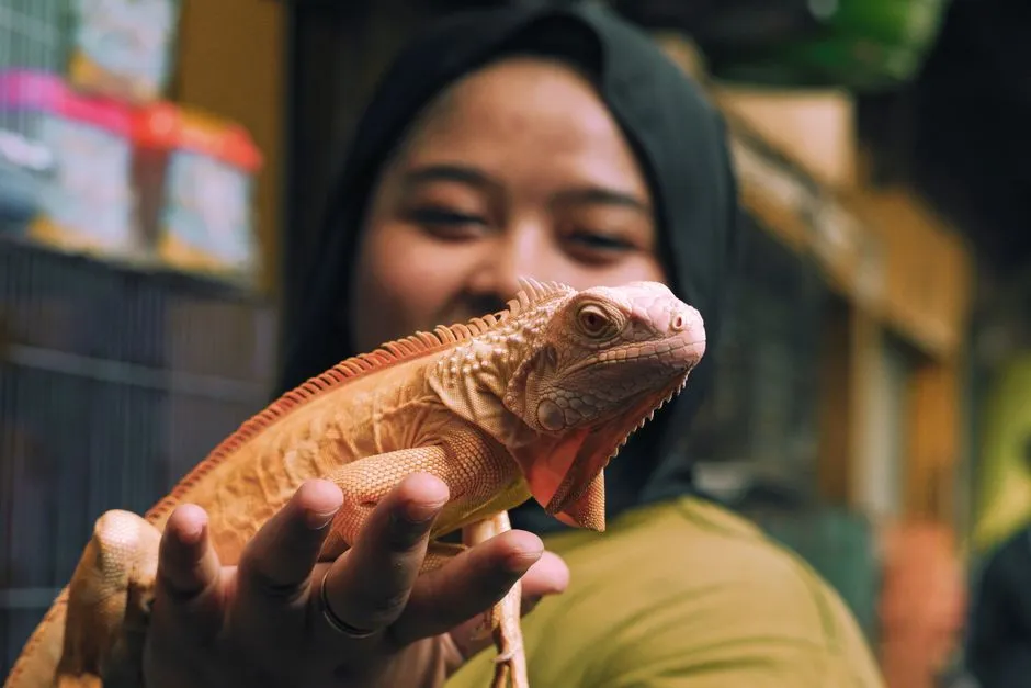 #13 - Iguanas That Cuddle the Same Person (Image Credits: Pexels)